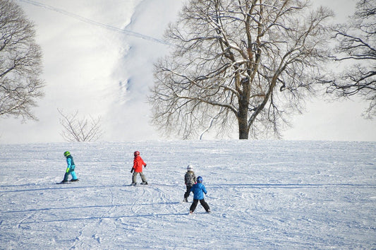 children, skiing, in, the, winter, on, a, hill